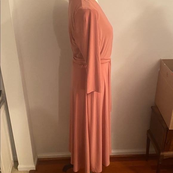 Lauren Ralph Lauren NWT size 6 pink mahogany dress - Picture 3 of 8